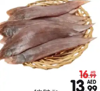 Al Madina Hypermarket Sole Fish /Kg offer