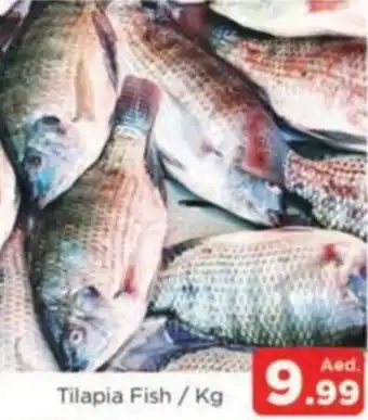 Al Madina Tilapia Fish / kg offer