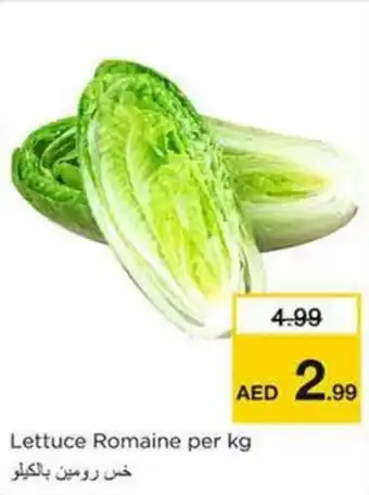 Nesto Lettuce Romaine per kg offer