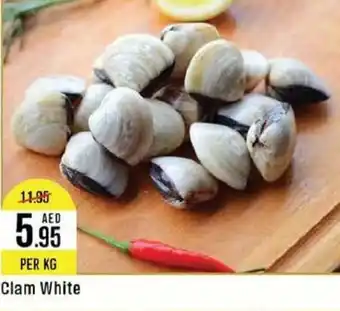 West Zone Supermarket Clam White offer