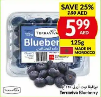 Viva Terraviva Blueberry 125G offer