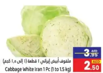 Cabbage White Iran 1 PC 1 to 1.5 kg