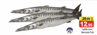 Aswaq Ramez Baracuda Fish offer
