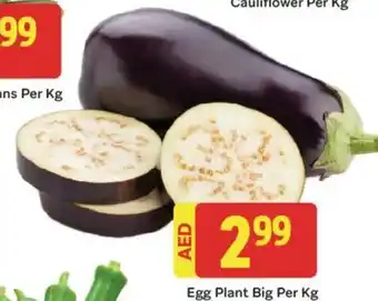 City Retail Supermarket Egg Plant Big Per Kg offer