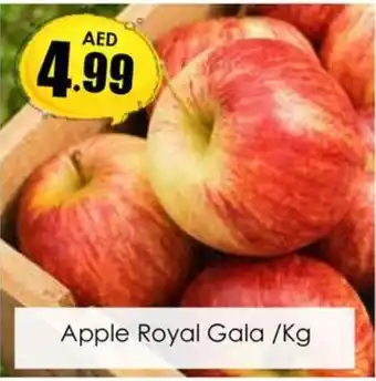 Amber Apple Royal Gala /Kg offer