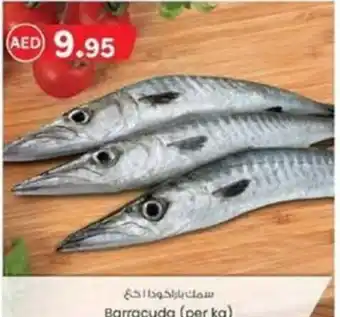 KM Trading Barracuda (per kg) offer