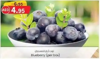 KM Trading Blueberry (per box) offer