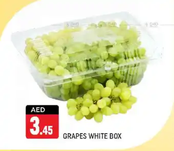 Shaklan GRAPES WHITE BOX offer