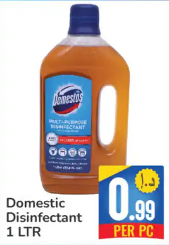 Day To Day Domestic Disinfectant PER PACK 1 LTR offer