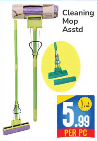 Day To Day Cleaning Mop Asstd offer