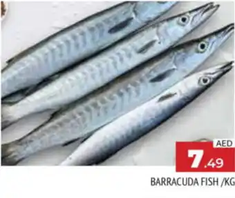 Al Madina Hypermarket BARRACUDA FISH KG offer