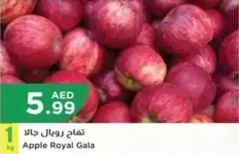 Istanbul Supermarket Apple Royal Gala offer