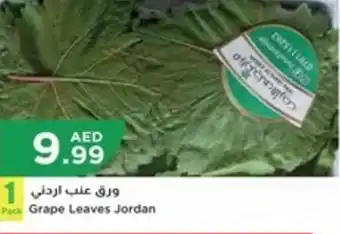 Istanbul Supermarket Grape Leaves Jordan offer