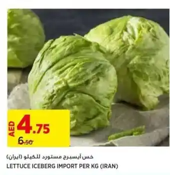 Aswaaq LETTUCE ICEBERG IMPORT PER KG offer
