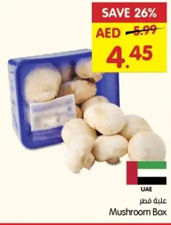 Gala Supermarket Mushroom Box offer