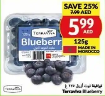 Viva Blueberry 125g offer