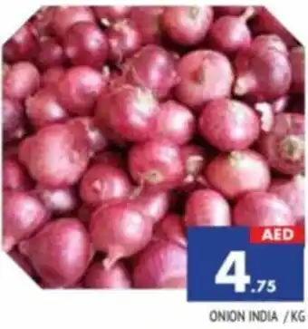 Al Madina ONION /KG offer