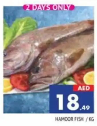 Al Madina HAMOOR FISH/KG offer