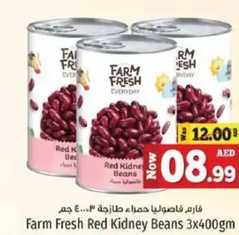 Kenz Hypermarket Farm Fresh Red Kidney Beans 3x400gm offer