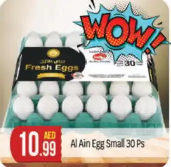 Bigmart Al Ain Egg Small 30 Ps offer