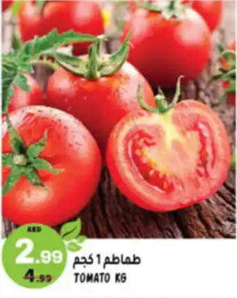 Hashim Hypermarket TOMATO KG offer