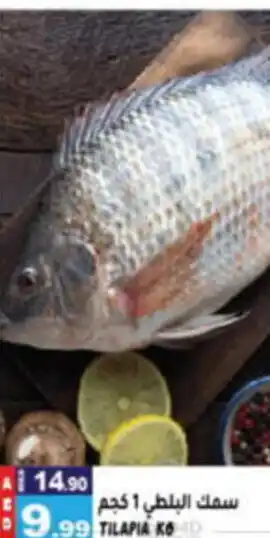 Hashim Hypermarket TILAPIA KG offer
