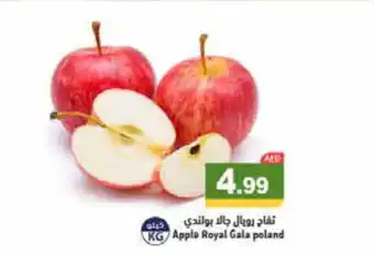 Aswaq Ramez Apple Royal Gala poland offer