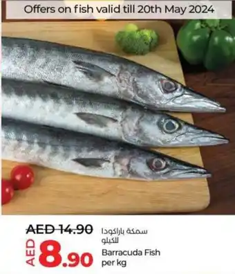Lulu Hypermarket Barracuda Fish per kg offer