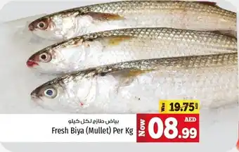 Kenz Hypermarket Fresh Biya (Mullet) Per Kg offer