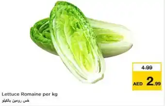 Nesto Lettuce Romaine per kg offer