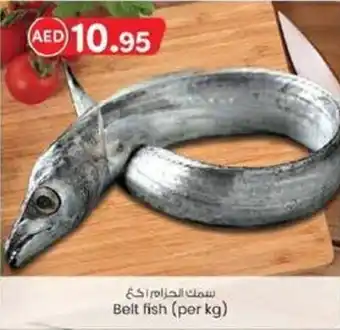 KM Trading Belt fish per kg offer