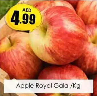 Amber Apple Royal Gala Kg offer