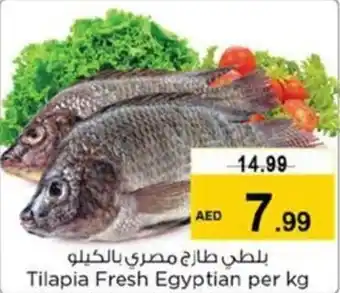 Nesto Tilapia Fresh Egyptian per kg offer