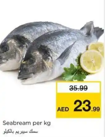 Nesto Seabream per kg offer