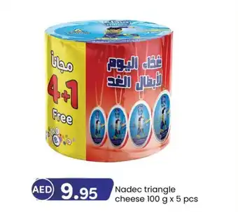 KM Trading Nadec triangle cheese 100 g x 5 pcs offer