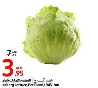 Iceberg Lettuce Per Piece
