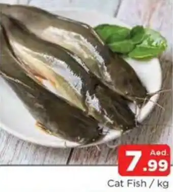 Abraj Al Madina Cat Fish / kg offer