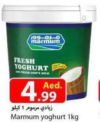 Rawabi Market Marmum Yoghurt 1kg offer
