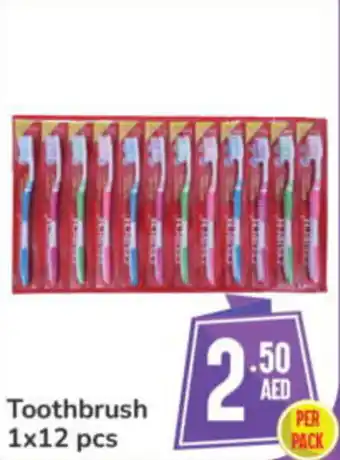 Day To Day Toothbrush 1x12 pcs offer