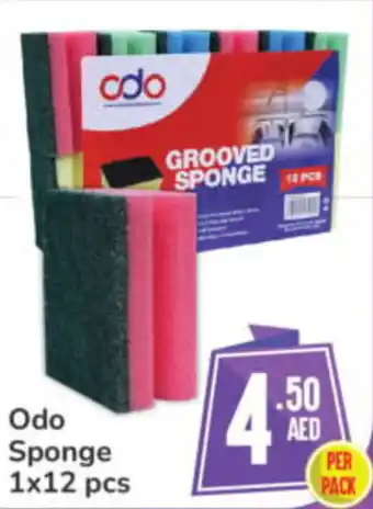 Day To Day Odo Sponge 1x12 pcs offer