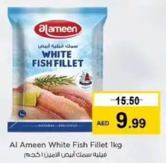 Nesto Al Ameen White Fish Fillet 1kg offer