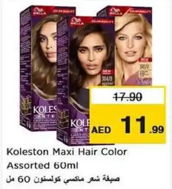 Nesto Koleston Maxi Hair Color Assorted 60ml offer