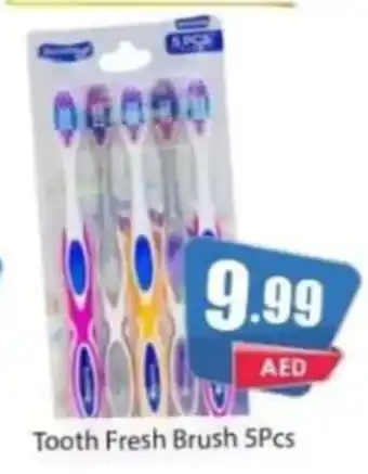 Amber Tooth Fresh Brush 5Pcs offer