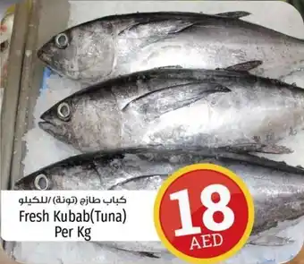 Kenz Hypermarket Fresh Kubab(Tuna) Per Kg offer