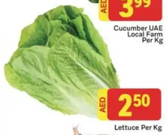 City Retail Supermarket Lettuce Per Kg offer