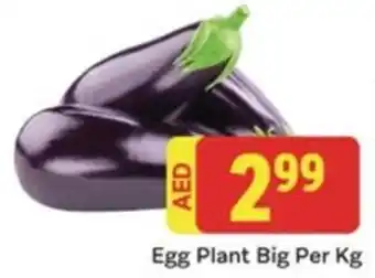City Retail Supermarket Egg Plant Big per kg offer