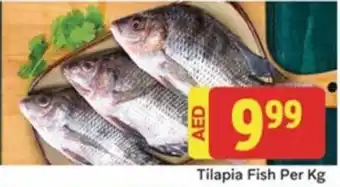 City Retail Supermarket Tilapia Fish Per Kg offer