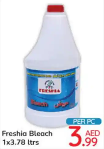 Day To Day Freshia Bleach 1x3.78 ltrs offer