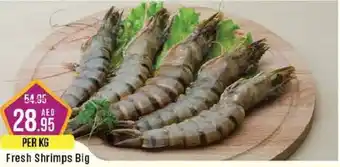 West Zone Supermarket Fresh Shrimps Big offer