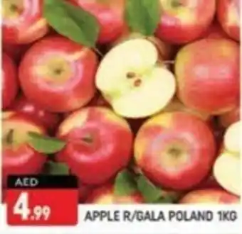 Shaklan APPLE R GALA POLAND 1KG offer